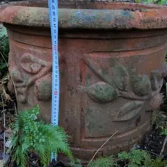 レモン植木鉢テラコッタ大きいサイズ葉リーフ