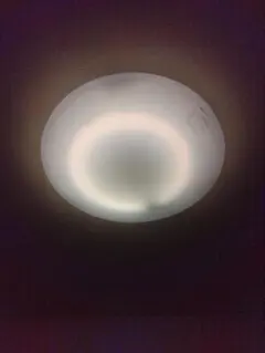 2025年最新】ツインパルック シーリングライト 100の人気アイテム