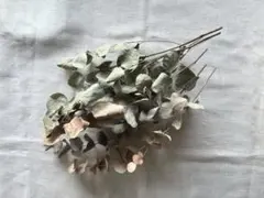 ユーカリ ドライフラワー スワッグ アンティーク 花材 ハンドメイド