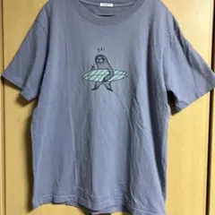 ノーリーズライト　Tシャツ　Mのサムネイル