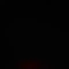 専用