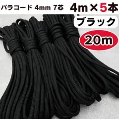 Item thumbnail for item 4170e89c-177a-4aa2-bee2-067321eb122f