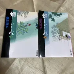 蝉しぐれ 上下　藤沢周平