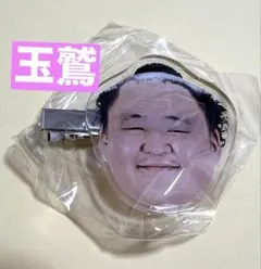 大相撲 ガチャ フェイスクリップ ヘアピン 玉鷲