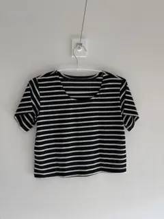 ストライプ 半袖 クロップドTシャツ