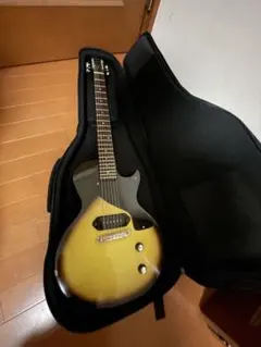 2026年最新】FERNANDES 種類：レスポールタイプ エレキギターの人気