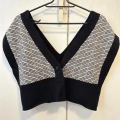 AZUL Vネック ニットベスト