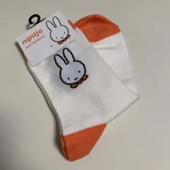 Item thumbnail for item de1b614b-0a81-43f9-aeab-47791b7c1f05