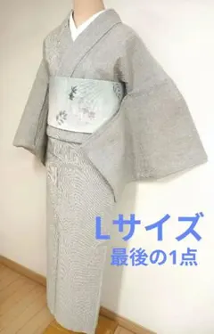 単衣　本塩澤紬 100亀甲　草花模様　付け下げ訪問着 単衣 本塩澤紬 100亀甲 草花模様 付け下げ訪問着 - メルカリ