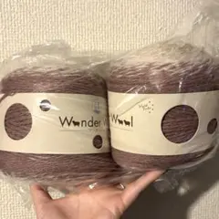 Wonder Wool 毛糸 34 (ロット A) 150g 2玉セット