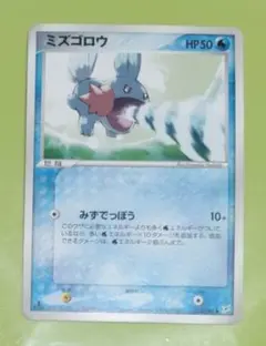 ミズゴロウ PROMO ADV-Pプロモカード 020/ADV-P ミズゴロウ PROMO ADV-Pプロモカード 020/ADV-P - メルカリ