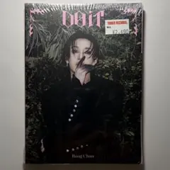 straykids do it accordion 未開封 バンチャン