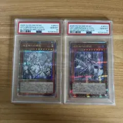 ユニオンアリーナ】 PSA10 キリト＆アスナ箔押しサイン プロモカード