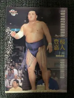 Item thumbnail for item 6e97e343-d995-4b49-915e-541937dc20d4