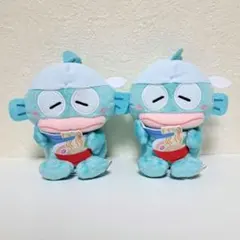 ゆるかわ サンリオ マスコット ぬいぐるみ ～大将～ ハンギョドン はぴ