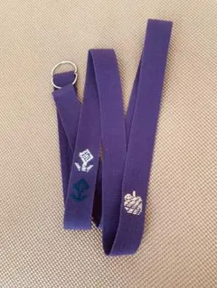 Item thumbnail for item e6e6b438-1dfa-4c65-9913-07bae295007a