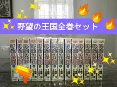 野望の王国 全巻セット【⭐美梱包⭐】