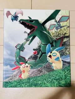 ポケモン　カード　コレクション　ファイル