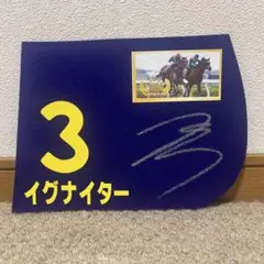 2026年最新】ミニゼッケン 競馬の人気アイテム - メルカリ