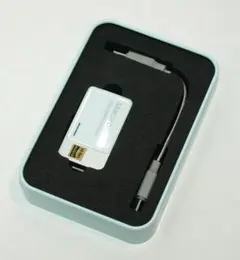 Item thumbnail for item d18c5d43-bef0-4150-bc61-80cb63f925e5