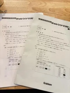 Item thumbnail for item f7d5cc09-5b48-4c54-aa61-2927d5b59d06