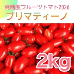 プリマティーノトマト 2kg 岐阜県産