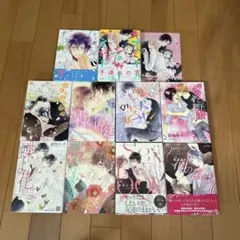 紺色ルナ BL まとめ売り 10作品