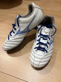 ミズノ　モナルシーダネオ3