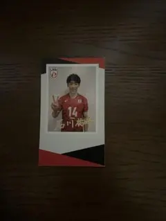 Item thumbnail for item 4dbf0e46-0082-40b1-a69d-bc9111ebc673