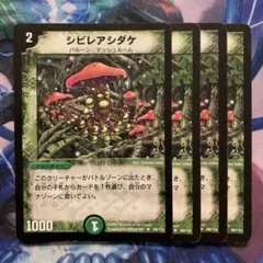 2026年最新】シビレアシダケ 初期の人気アイテム - メルカリ