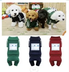犬服 体育ジャージ 緑 7号 - メルカリ