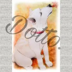 【日本犬】No.22 白い犬 イラストポストカード 色鉛筆画 ペット