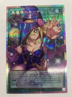 2026年最新】黒魔導のカーテン プリシクの人気アイテム - メルカリ