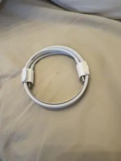未使用Apple純正Lightning - USB-Cケーブル 1m