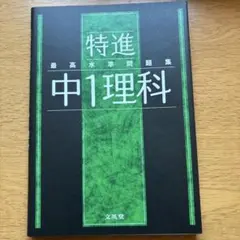 ken55555様 リクエスト 2点 まとめ商品