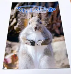 Item thumbnail for item 299a3cdb-2188-4917-a144-e3b4be927322