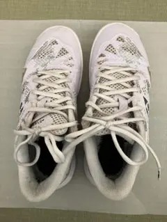 Item thumbnail for item 7555adeb-53c6-4f55-809a-ab923a5721ac