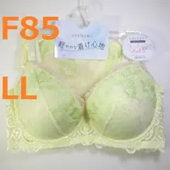【F85/LL】ブラ・ショーツセット★2点以上で各200円引き★50406051