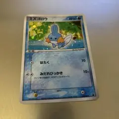 ポケパークのミズゴロウ ポケモンカード HP60 - メルカリ