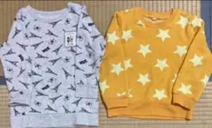 Item thumbnail for item 0ed20152-289e-43ff-8aef-2bf505aa112f