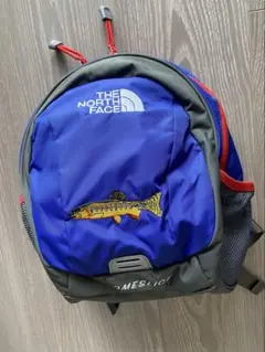 THE NORTH FACE HOMESLICE キッズリュック　ノースフェイス