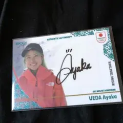 Item thumbnail for item 62e7c07e-28c2-4363-b59c-ecf959b18806