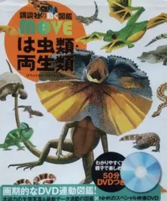 食虫植物 ハエトリソウ 大狼 子株 - メルカリ