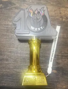 WEST. AWARD ペンライト