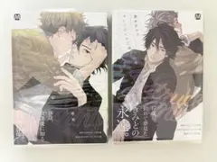 キューピッドに落雷、追撃　2巻セット