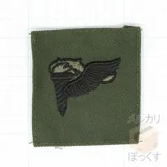 米軍実物未使用品 アメリカ軍 空中突撃章 サブデュード パッチ
