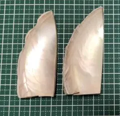 2026年最新】夜光貝 ルアーの人気アイテム - メルカリ