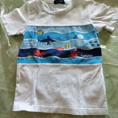 kladskap 半袖Tシャツ 3枚セット 動物 電車 海のサムネイル