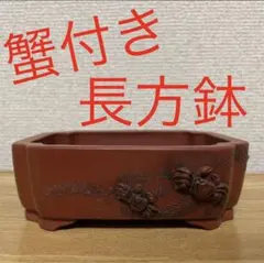 subarujp2005　紫泥　蟹刻　小さな植木鉢　盆栽鉢　M　R8812 subarujp2005様専用 紫泥 蟹刻 小さな植木鉢 盆栽鉢 M R8812