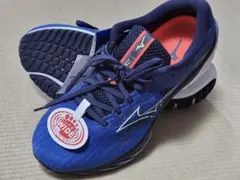 Mizuno ミズノ WAVE RIDER 27　新品未使用　25センチのサムネイル
